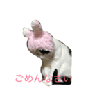 トトハピ（個別スタンプ：2）
