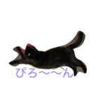 トトハピ（個別スタンプ：5）