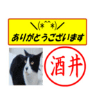 はんこだポン酒井様用、顔文字と猫写真付（個別スタンプ：30）