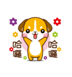 Dai Wang Dog（個別スタンプ：8）