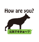 犬のイラストと日本語＆英語（個別スタンプ：5）