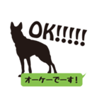 犬のイラストと日本語＆英語（個別スタンプ：7）