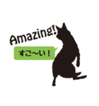 犬のイラストと日本語＆英語（個別スタンプ：16）