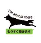 犬のイラストと日本語＆英語（個別スタンプ：29）