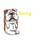 Pungkung the Bulldog（個別スタンプ：1）
