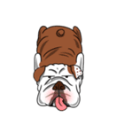 Pungkung the Bulldog（個別スタンプ：2）