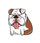 Pungkung the Bulldog（個別スタンプ：4）
