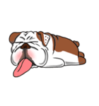 Pungkung the Bulldog（個別スタンプ：6）