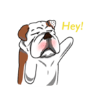 Pungkung the Bulldog（個別スタンプ：7）