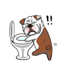 Pungkung the Bulldog（個別スタンプ：10）