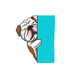 Pungkung the Bulldog（個別スタンプ：11）