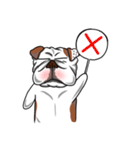 Pungkung the Bulldog（個別スタンプ：14）