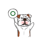 Pungkung the Bulldog（個別スタンプ：15）
