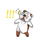 Pungkung the Bulldog（個別スタンプ：16）