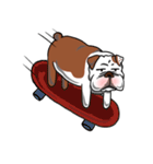 Pungkung the Bulldog（個別スタンプ：19）