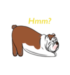Pungkung the Bulldog（個別スタンプ：22）