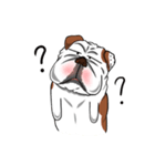 Pungkung the Bulldog（個別スタンプ：23）