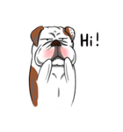 Pungkung the Bulldog（個別スタンプ：24）