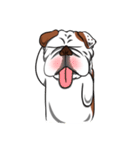 Pungkung the Bulldog（個別スタンプ：25）