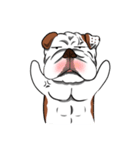 Pungkung the Bulldog（個別スタンプ：26）