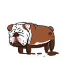 Pungkung the Bulldog（個別スタンプ：30）