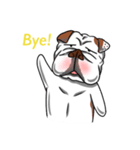 Pungkung the Bulldog（個別スタンプ：32）