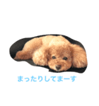 井村さんちのみんな（個別スタンプ：3）