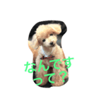 井村さんちのみんな（個別スタンプ：4）