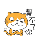 Low-Key yellow cat（個別スタンプ：9）