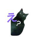 nyanta！！（個別スタンプ：3）