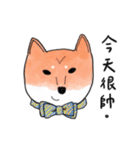SHIBA TOBI＆MIMI（個別スタンプ：19）