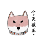 SHIBA TOBI＆MIMI（個別スタンプ：20）