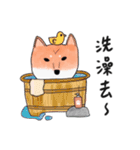 SHIBA TOBI＆MIMI（個別スタンプ：21）