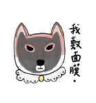 SHIBA TOBI＆MIMI（個別スタンプ：22）