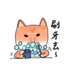 SHIBA TOBI＆MIMI（個別スタンプ：23）