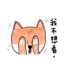 SHIBA TOBI＆MIMI（個別スタンプ：25）