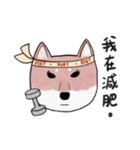 SHIBA TOBI＆MIMI（個別スタンプ：26）