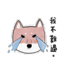 SHIBA TOBI＆MIMI（個別スタンプ：28）