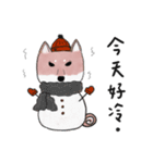 SHIBA TOBI＆MIMI（個別スタンプ：31）