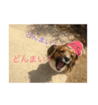 田舎（個別スタンプ：4）