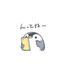 手のひらペンギン ぴっぴちゃん2（個別スタンプ：1）