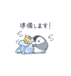 手のひらペンギン ぴっぴちゃん2（個別スタンプ：31）