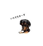 かにんへんだっくす（個別スタンプ：4）