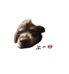 かにんへんだっくす（個別スタンプ：5）