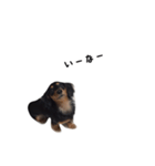 かにんへんだっくす（個別スタンプ：8）