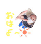 アホなやつ（個別スタンプ：3）