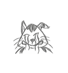 onigiri cat come on（個別スタンプ：6）