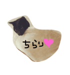茶々さん（個別スタンプ：6）