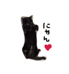 茶々さん（個別スタンプ：8）