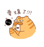 ププネコ（個別スタンプ：14）